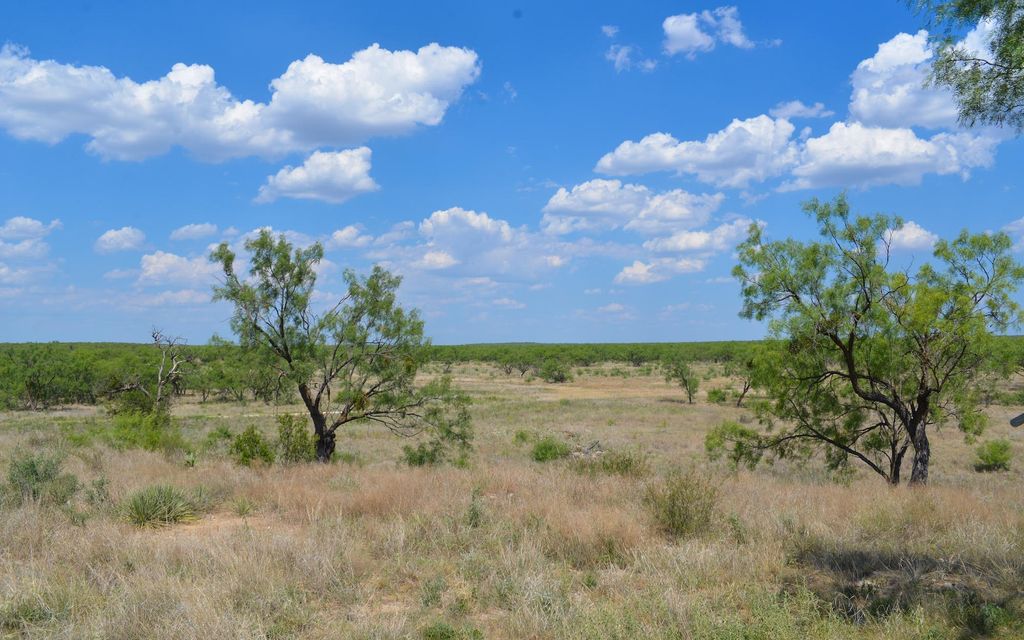 3900 acres, Ballinger, TX, Property ID 17423151 Land and Farm