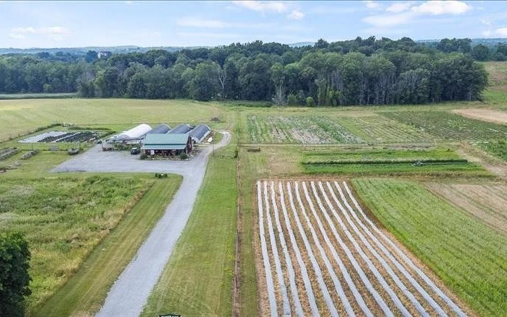 50 acres, Honeoye Falls, NY, Property ID 17576523 Land and Farm