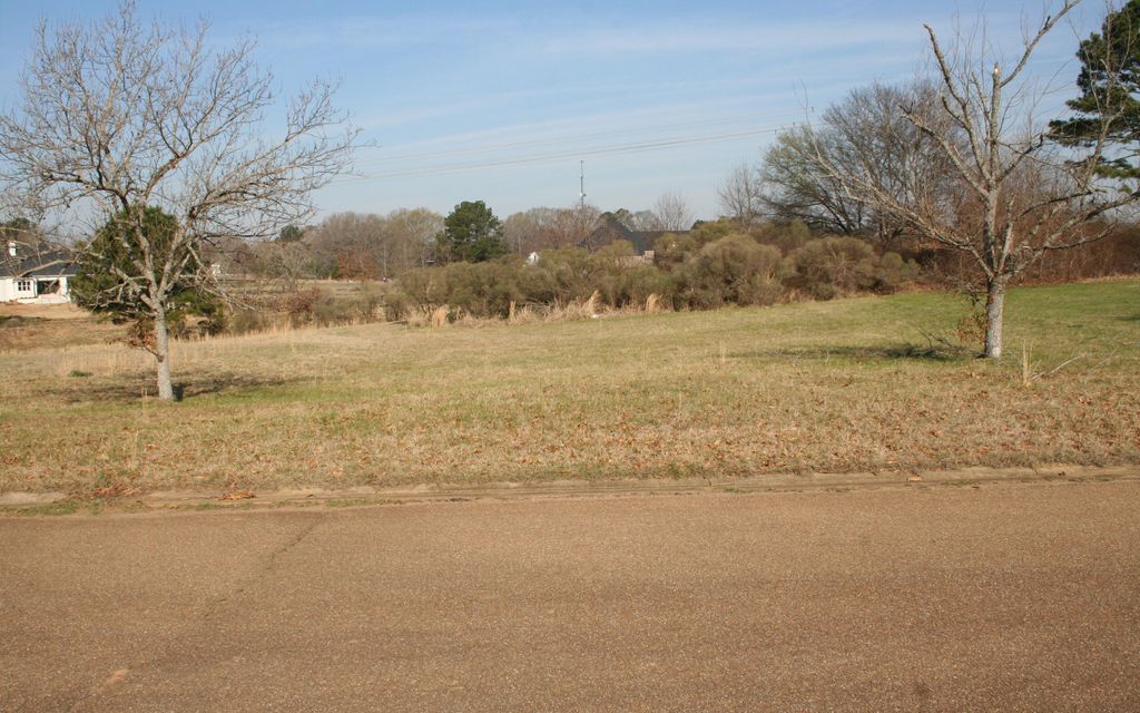 35 acres, Lena, MS, Property ID 17660515 Land and Farm