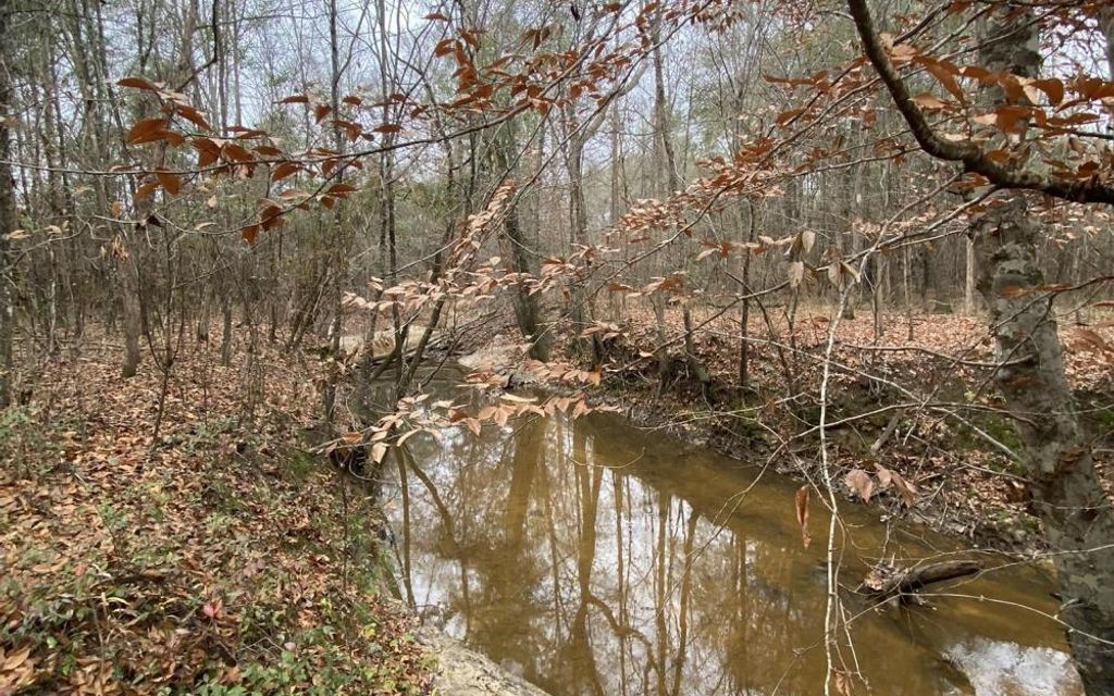 219.61 acres, Hatchechubbee, AL, Property ID 17680402 Land and Farm