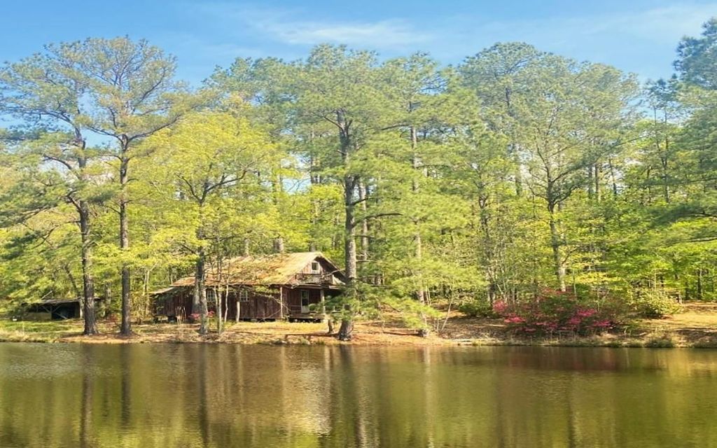 217 acres, Sylvarena, MS, Property ID 17705752 Land and Farm