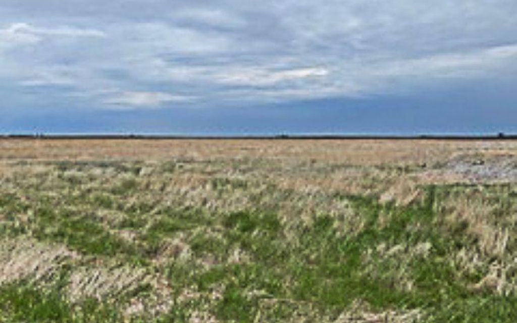 113.08 acres, Ringsted, IA, Property ID 16768518 Land and Farm