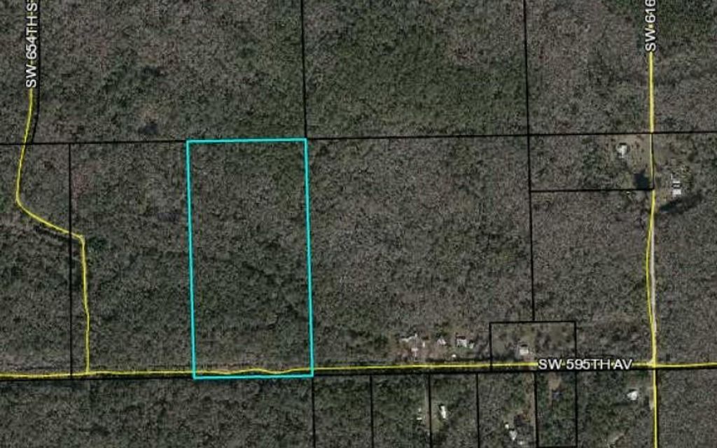 20 acres, Horseshoe Beach, FL, Property ID 17978072 Land and Farm
