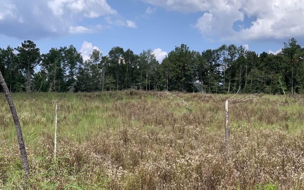 73.9 acres, Braxton, MS, Property ID 18177633 Land and Farm