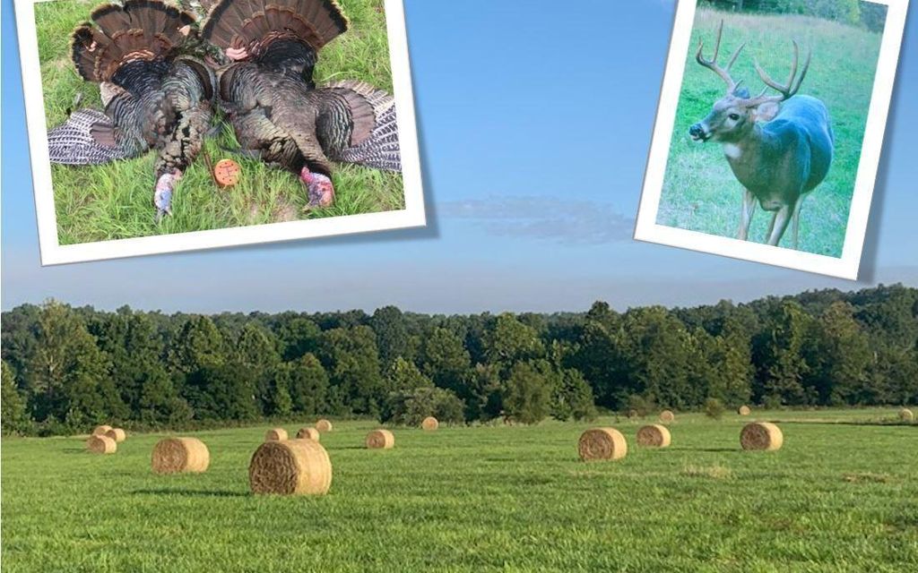 181 acres, West Plains, MO, Property ID 18432232 Land and Farm