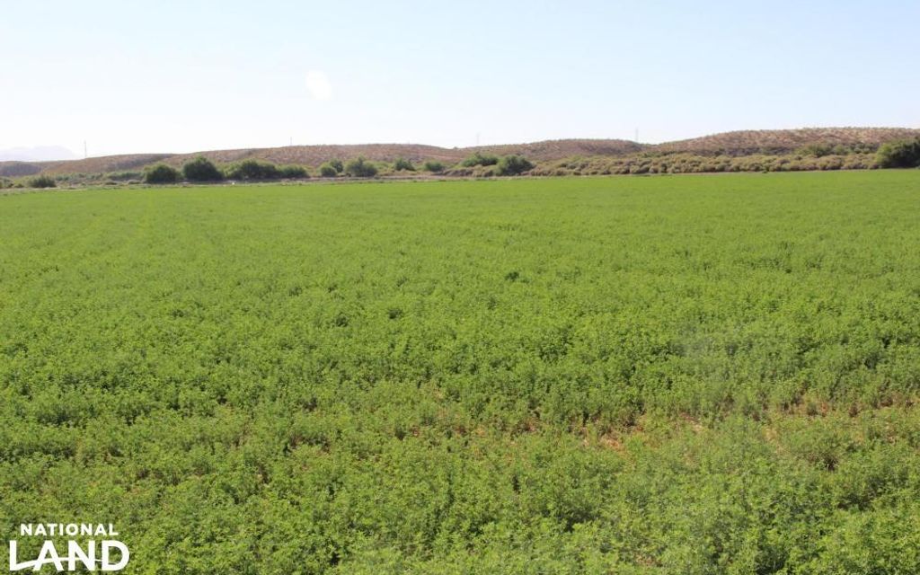 79.44 acres, Solomon, AZ, Property ID 16977541 Land and Farm