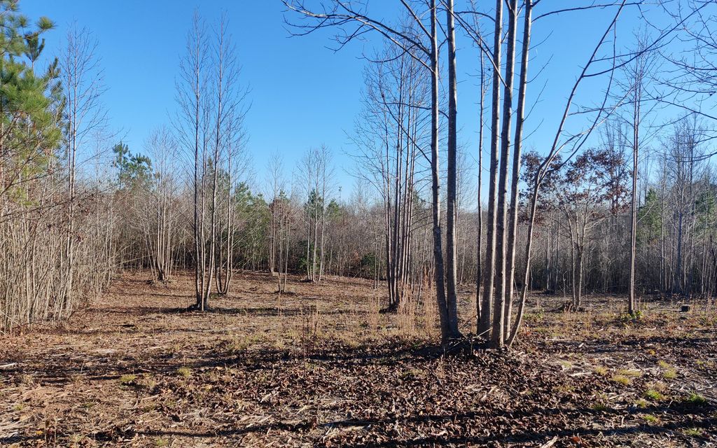 20 acres, Mineral, VA, Property ID 10186392 Land and Farm