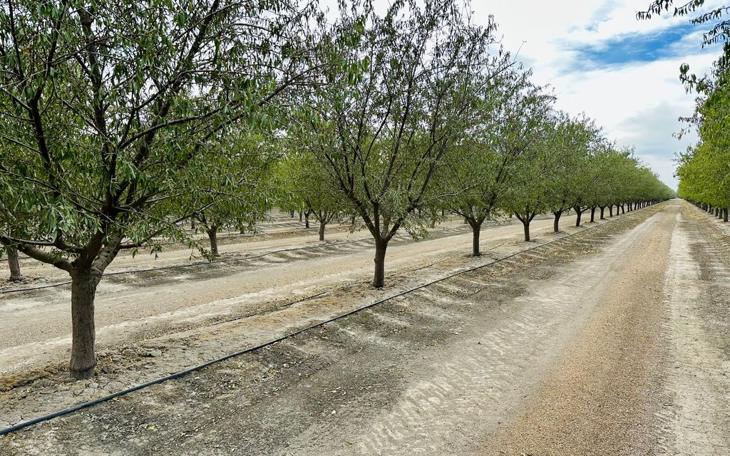 119 acres, Hanford, CA, Property ID 30084857 Land and Farm