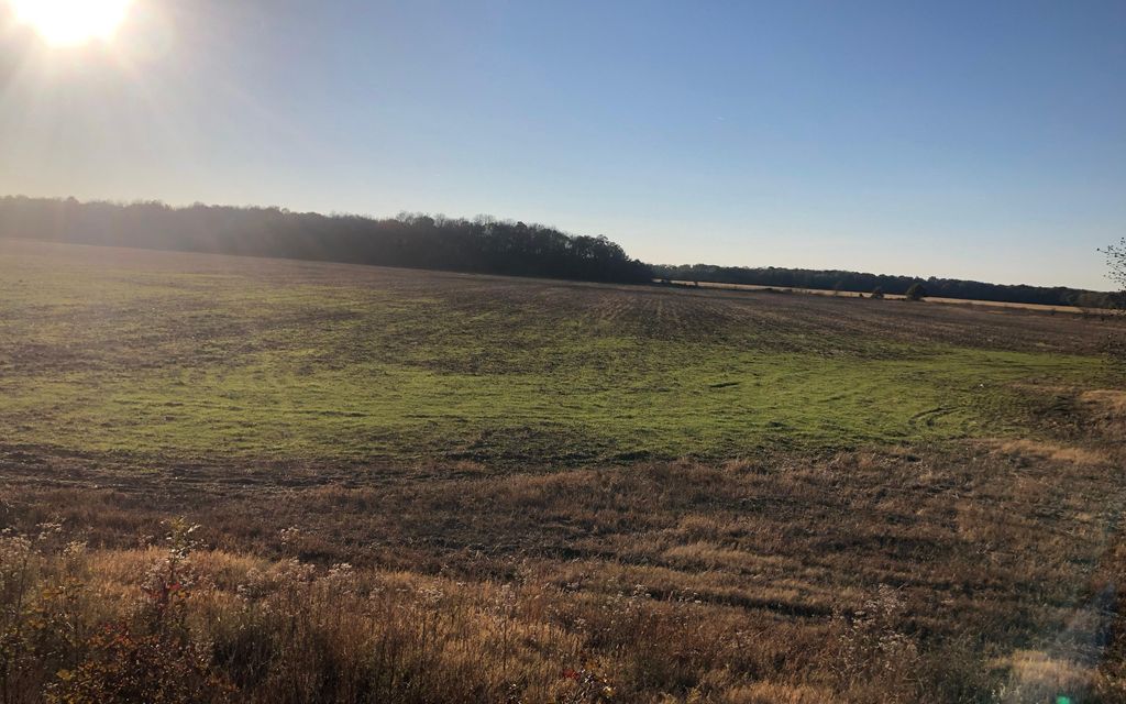 85 acres, Fisher, AR, Property ID 30112388 Land and Farm