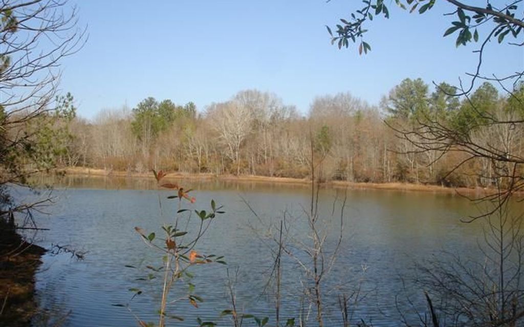 202 acres, , GA, Property ID 279808 Land and Farm