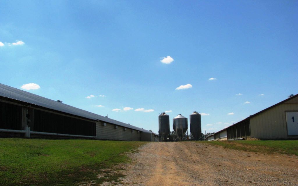 42 acres, Boaz, AL, Property ID 407191 Land and Farm