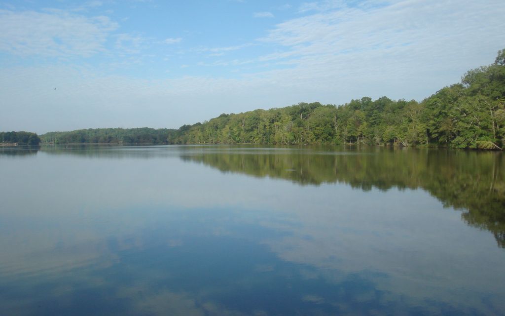 323 acres, Waterloo, SC, Property ID 427891 Land and Farm